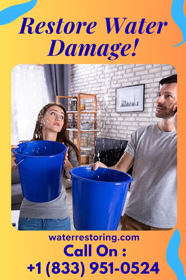 water restoration Pro Disaster Recovery LLC Markesan