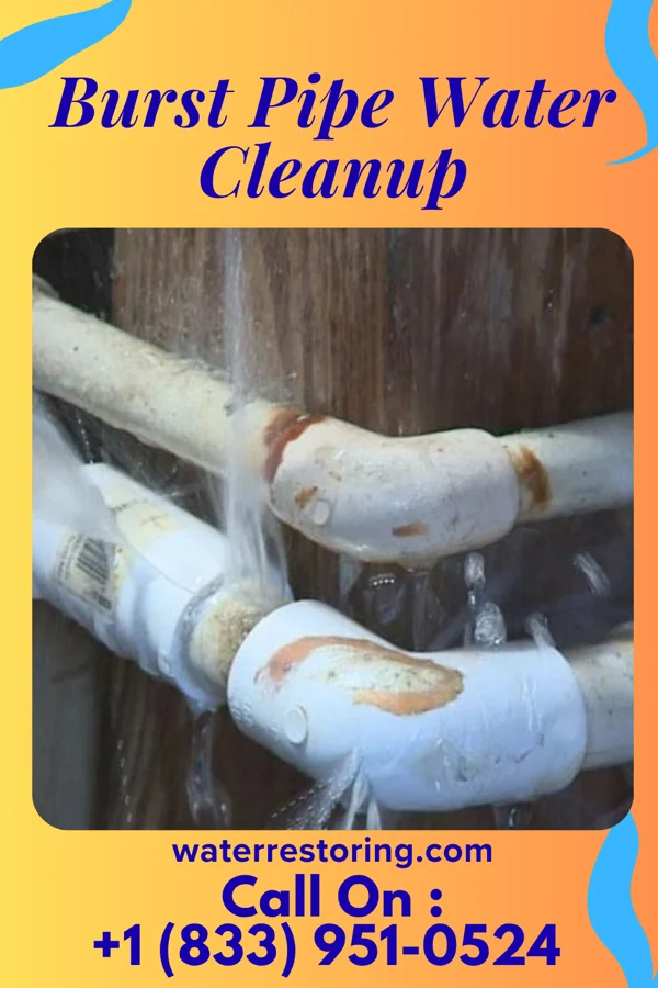 Burst Pipe Water Cleanup in Markesan, WI