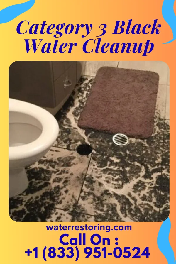 Category 3 Black Water Cleanup in Markesan, WI