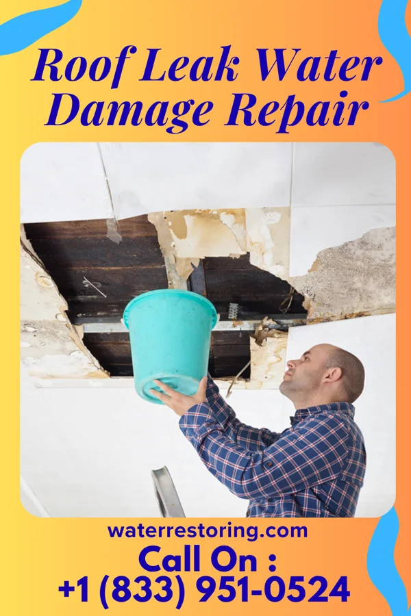 Roof Leak Water Damage Repair in Markesan, WI