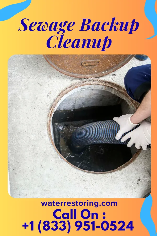 Sewage Backup Cleanup in Markesan, WI